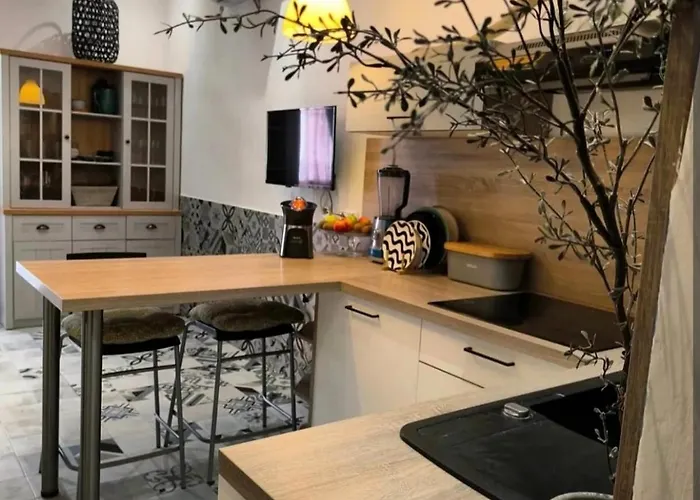 Apartman Big Oasis House With Garden,near Colosseum