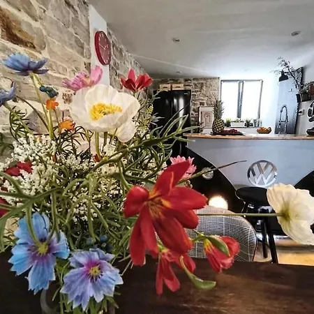 Big Oasis House With Garden,near Colosseum Apartment *