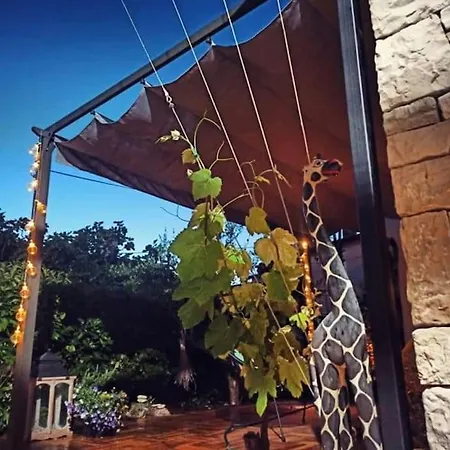 Apartment Big Oasis House With Garden,near Colosseum *