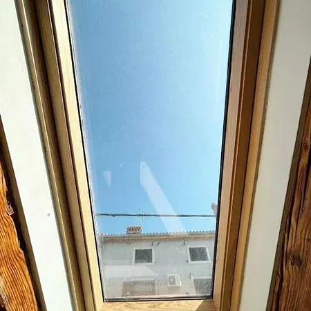 Big Oasis House With Garden,near Colosseum Apartment