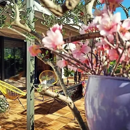Big Oasis House With Garden,near Colosseum Apartment *