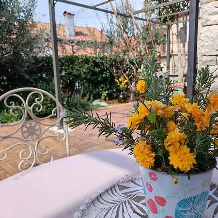Apartment Big Oasis House With Garden,near Colosseum